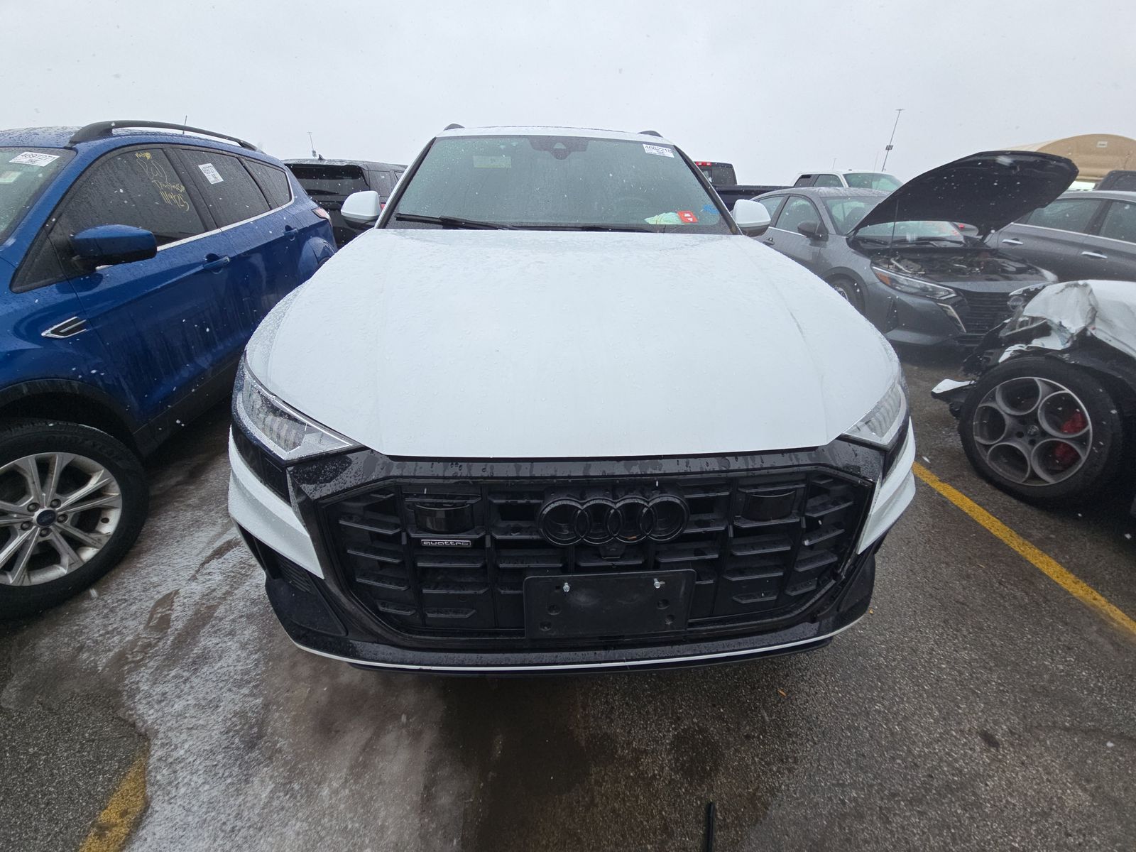 Audi Q8 2021 — photo 2