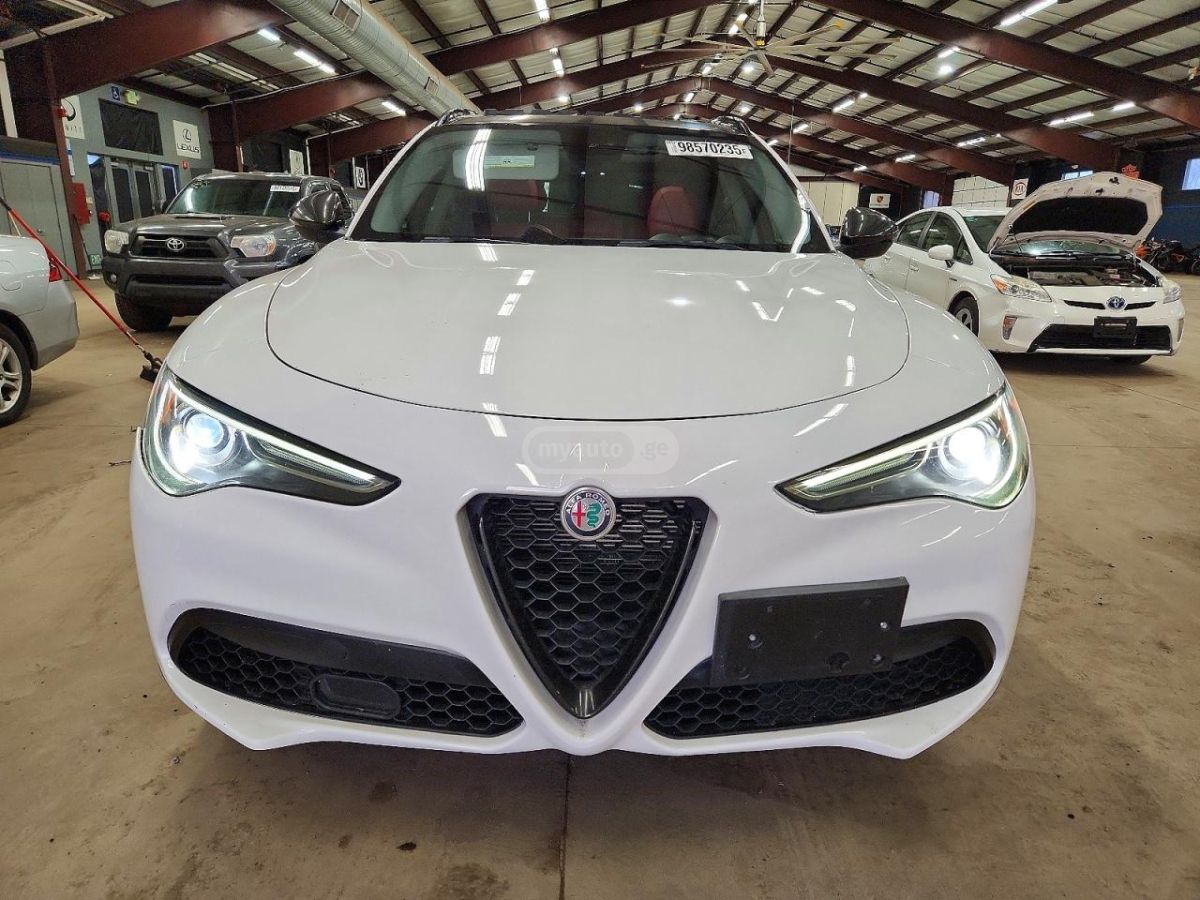 Alfa Romeo Stelvio 2019 — photo 2