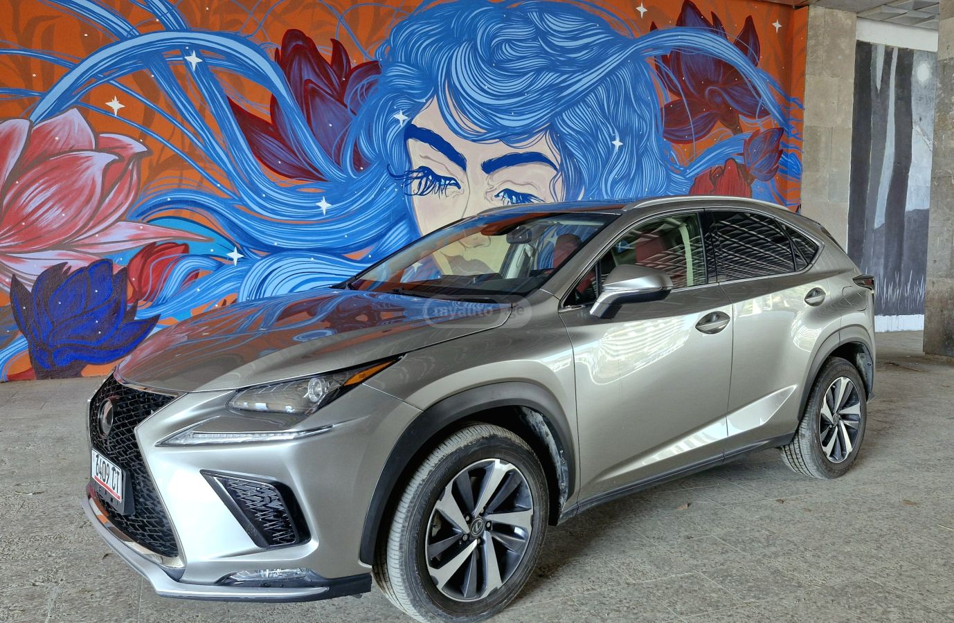 Lexus NX 300 2019 — photo 2