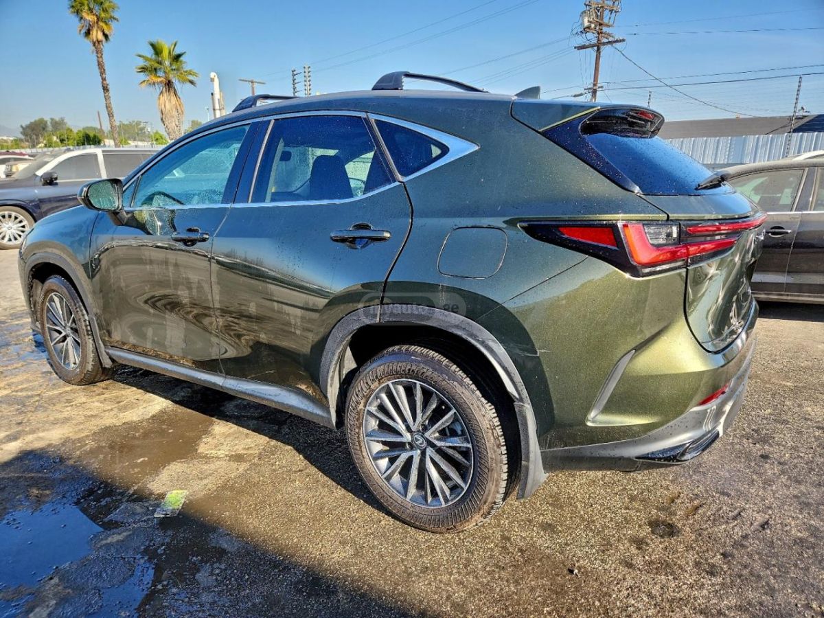 Lexus NX 200 2024 — photo 2
