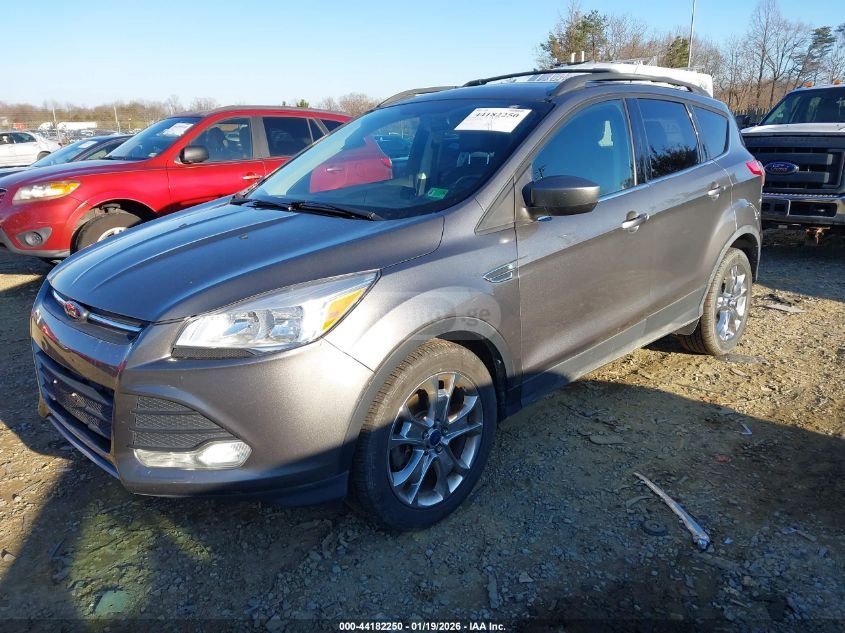 Ford Escape 2014 — photo 2