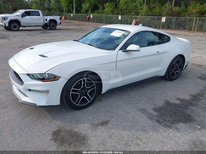 Ford Mustang 2021 — photo 2