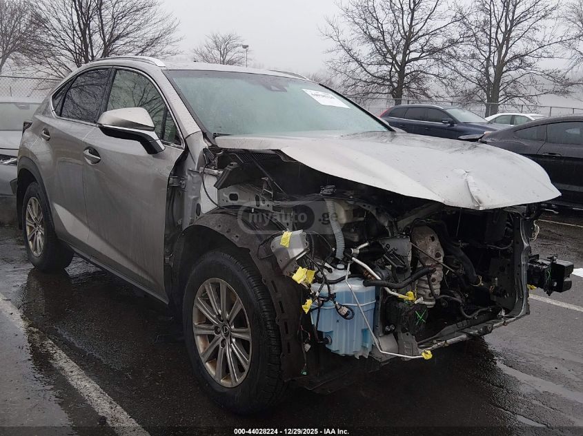 Lexus NX 300 2018 — photo 2