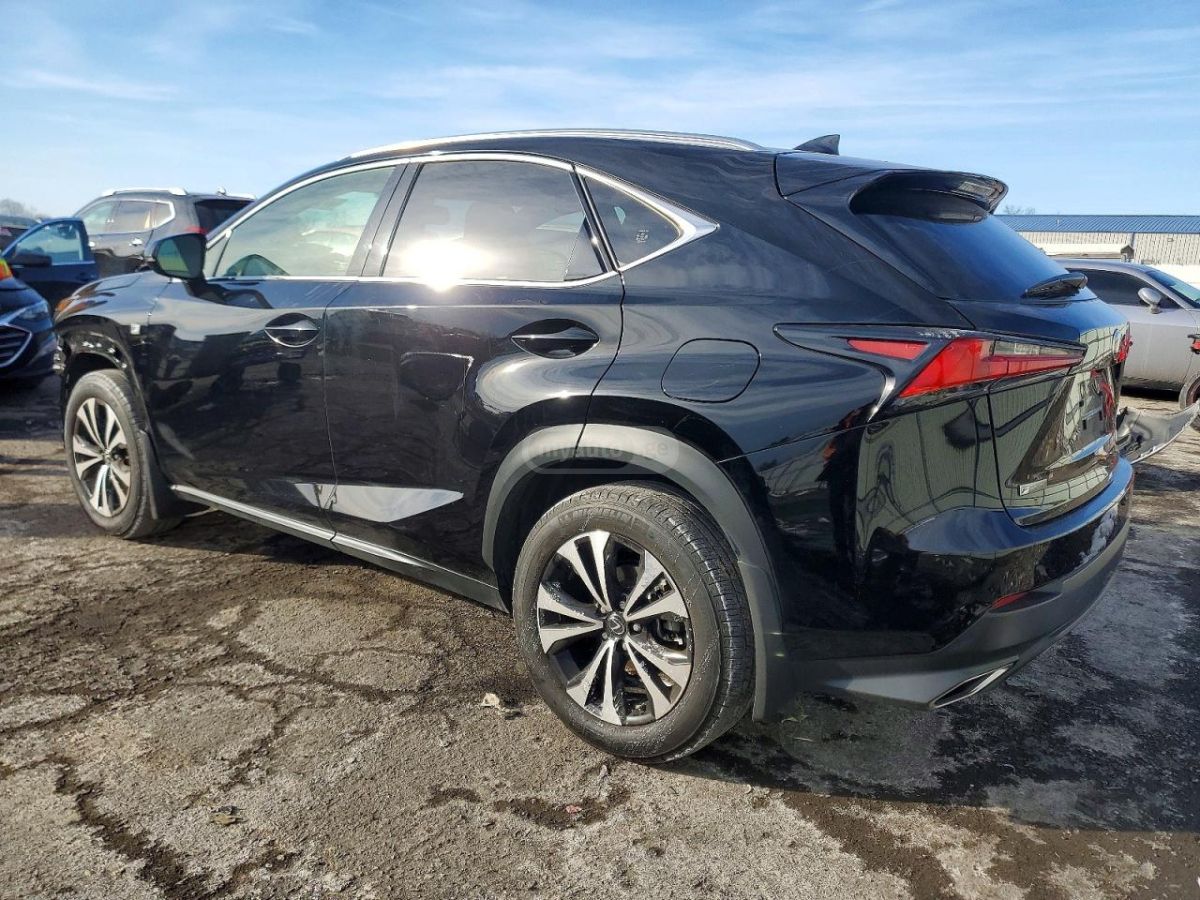 Lexus NX 300 2021 — photo 2