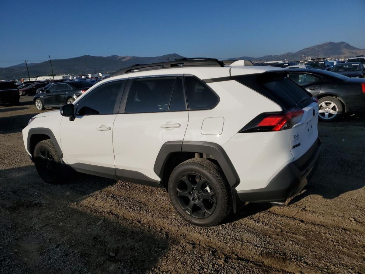 Toyota RAV4 2024 — photo 2