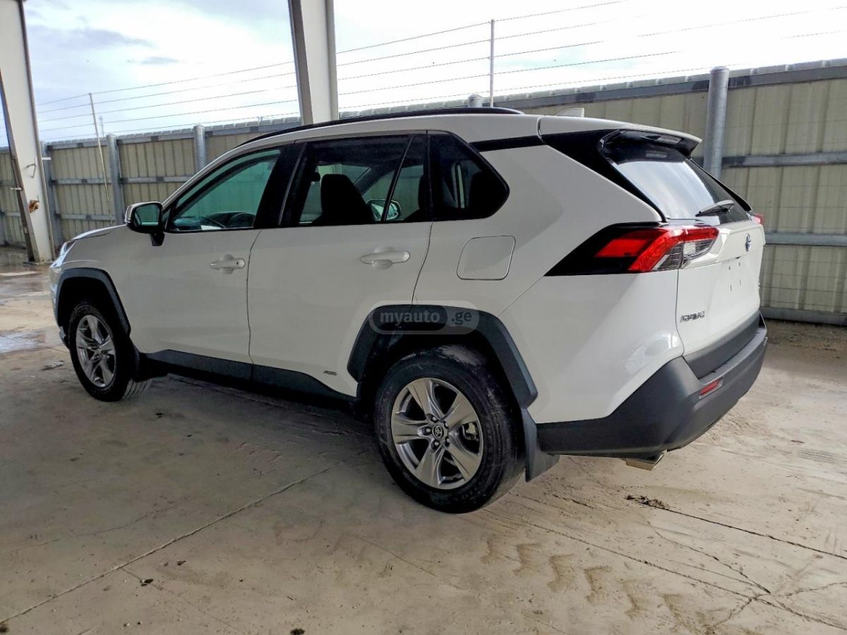 Toyota RAV4 2024 — photo 2