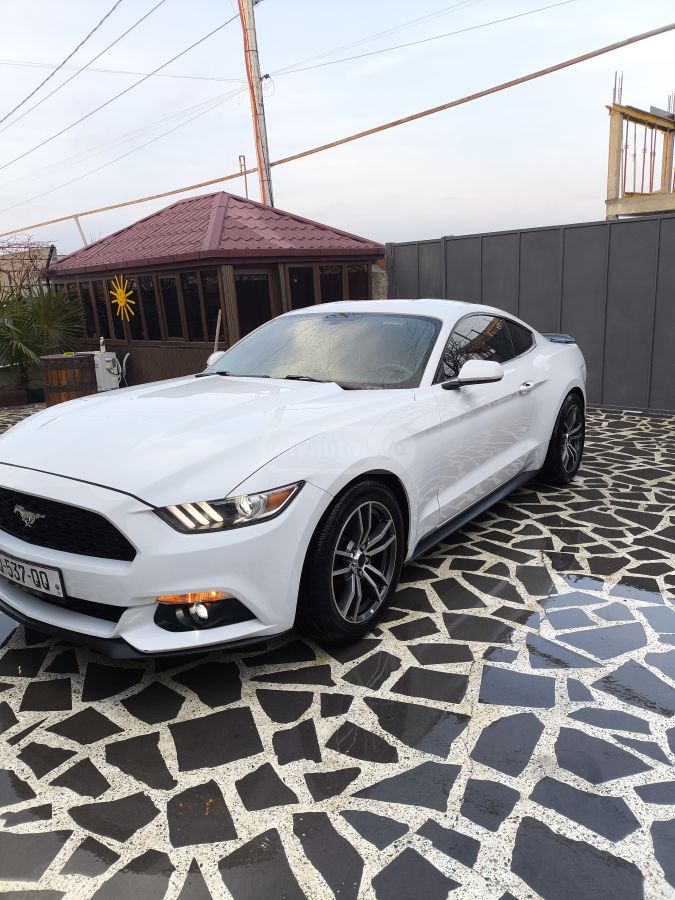 Ford Mustang 2017 — photo 2