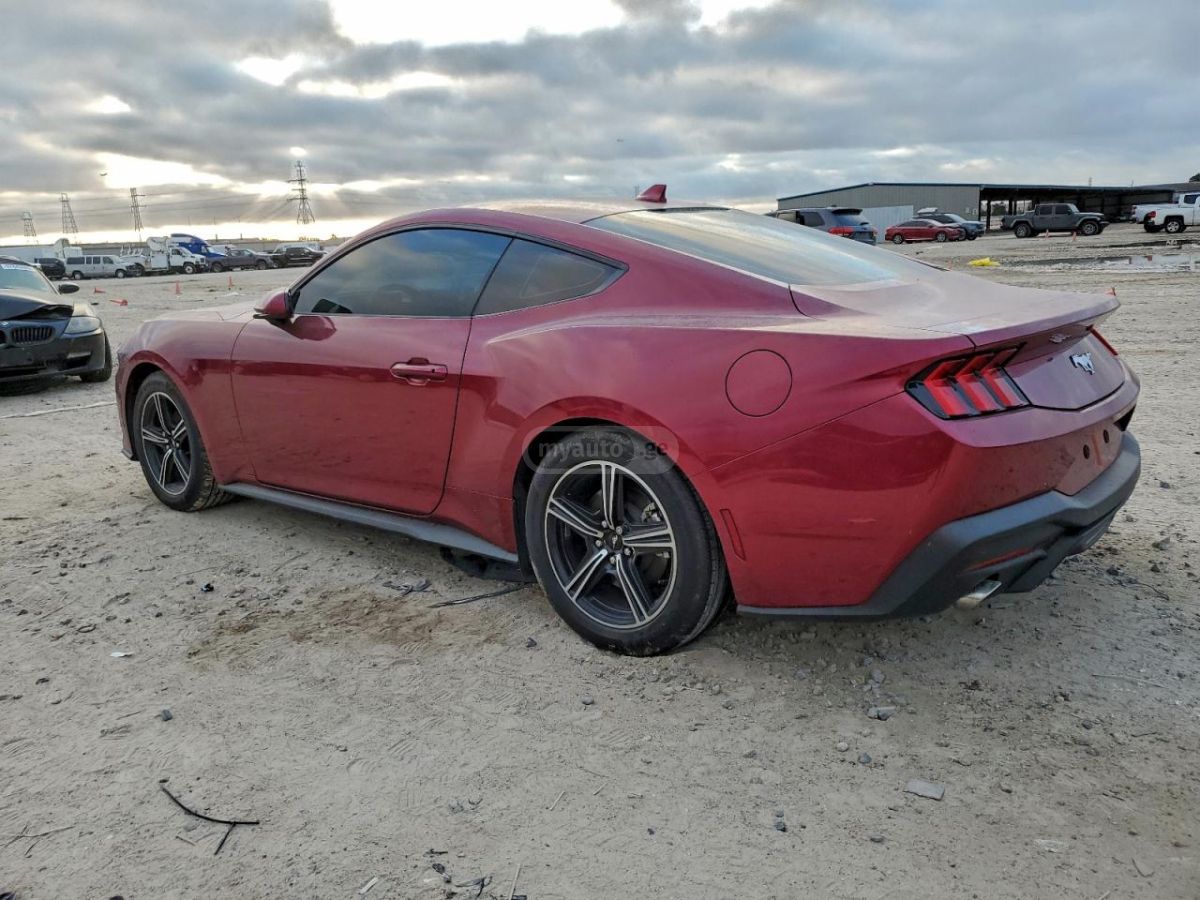 Ford Mustang 2025 — photo 2