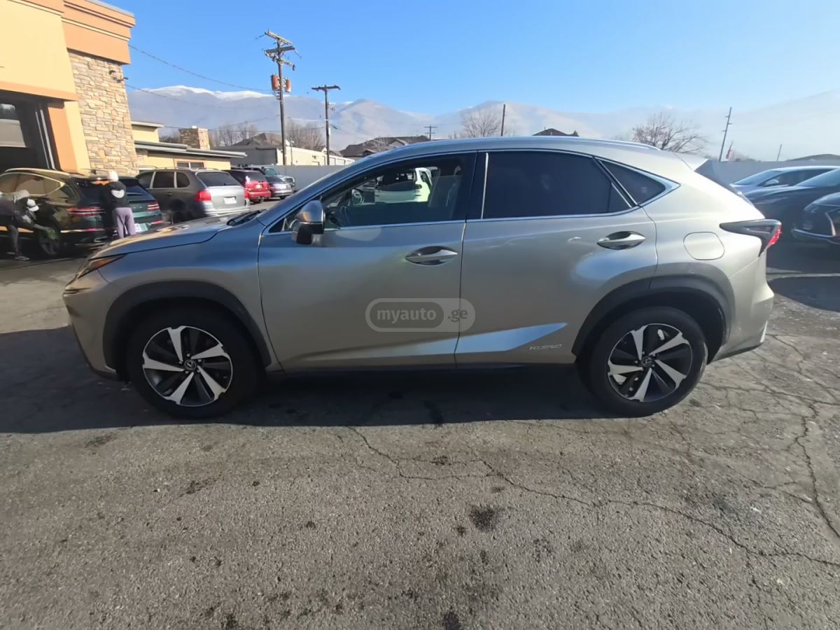 Lexus NX 300 2020 — photo 2