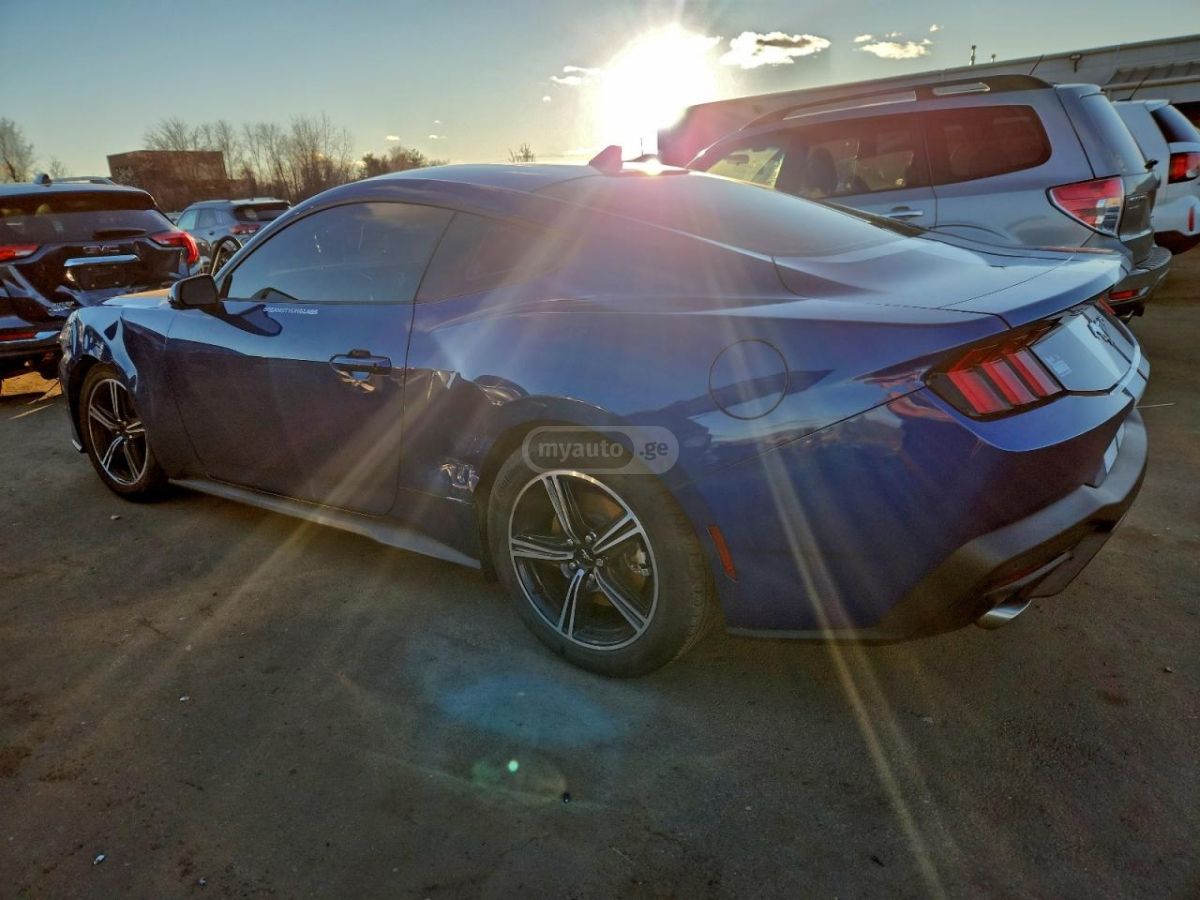 Ford Mustang 2024 — photo 2
