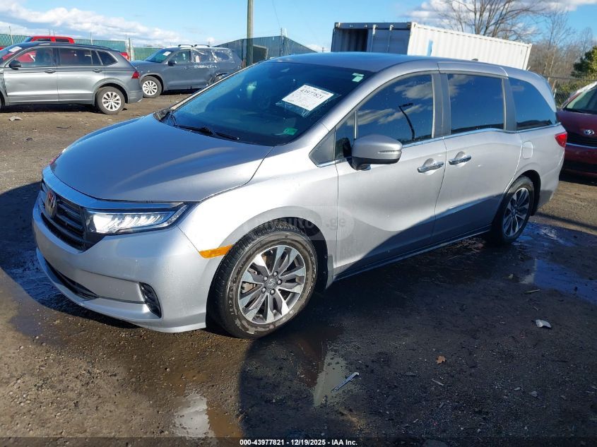 Honda Odyssey 2022 — photo 2