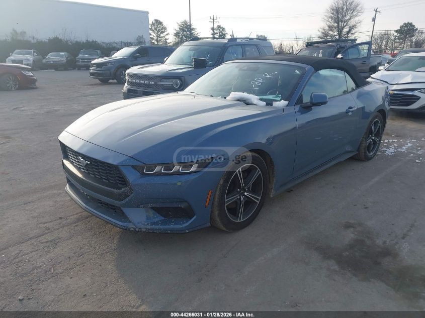 Ford Mustang 2025 — photo 2