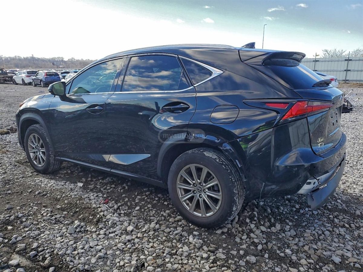 Lexus NX 300 2021 — photo 2