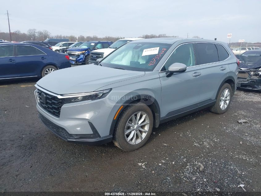 Honda CR-V 2024 — photo 2