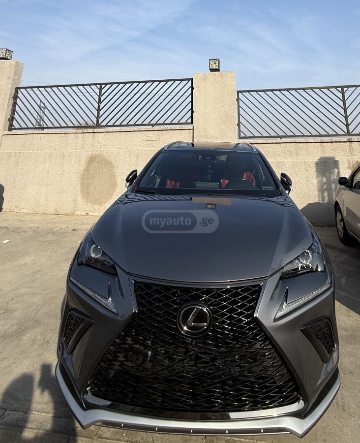 Lexus NX 300 2019 — photo 2