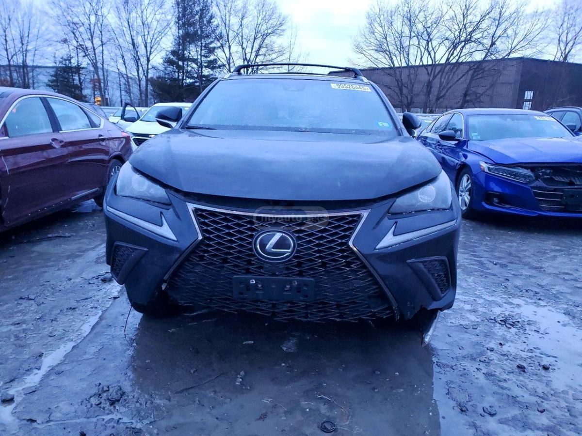Lexus NX 300 2019 — photo 2