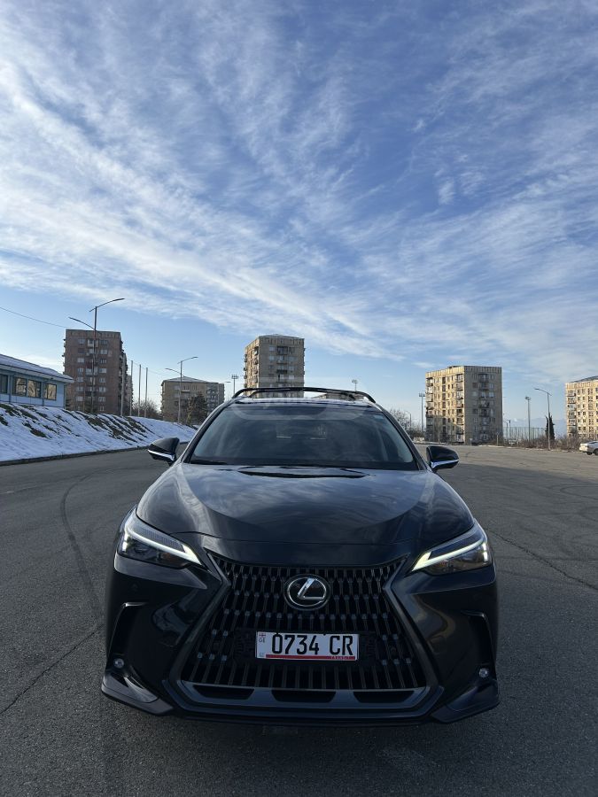 Lexus NX 350 2024 — photo 2