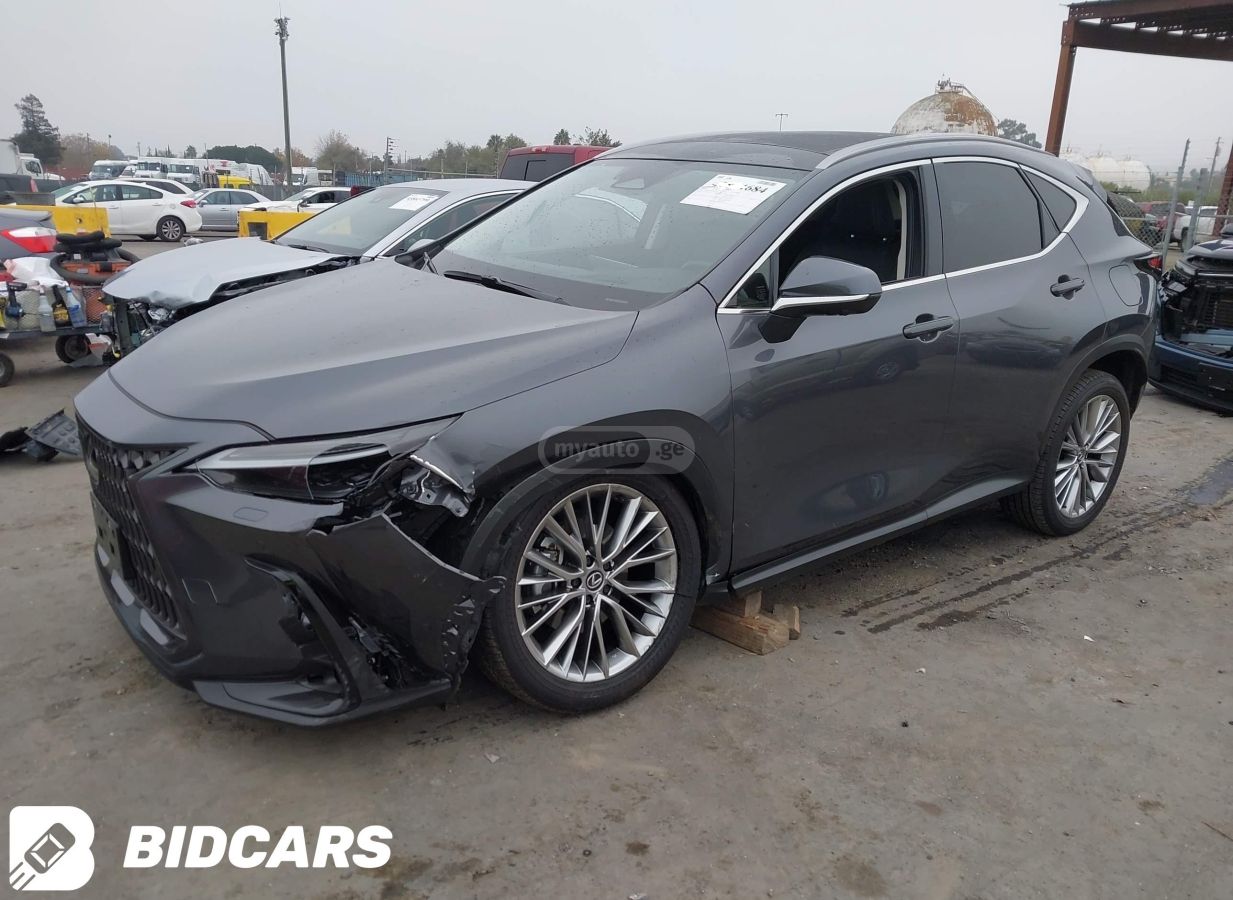 Lexus NX 350 2024 — photo 2