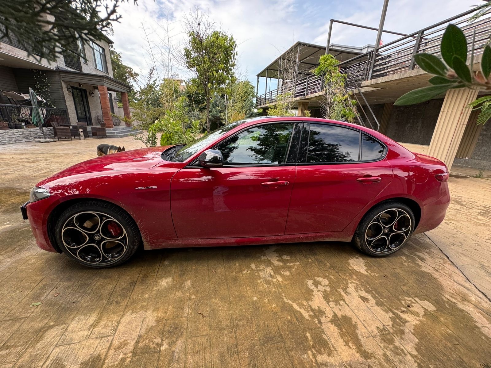 Alfa Romeo Giulia 2023 — photo 2
