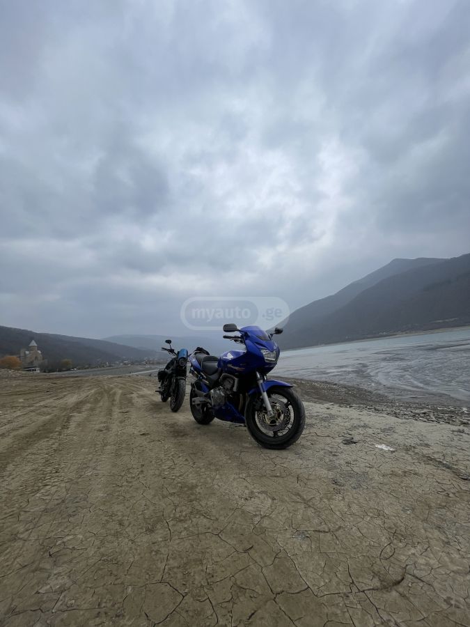 Honda Hornet 2003 — photo 2