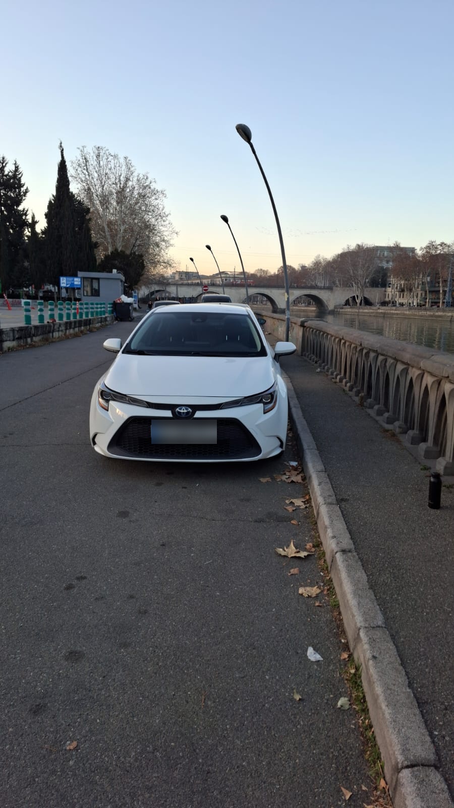 Toyota Corolla 2022 — photo 2