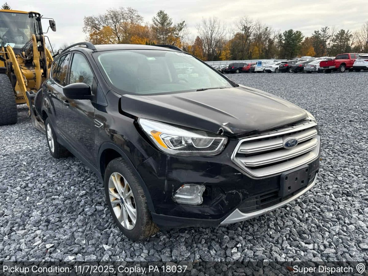 Ford Escape