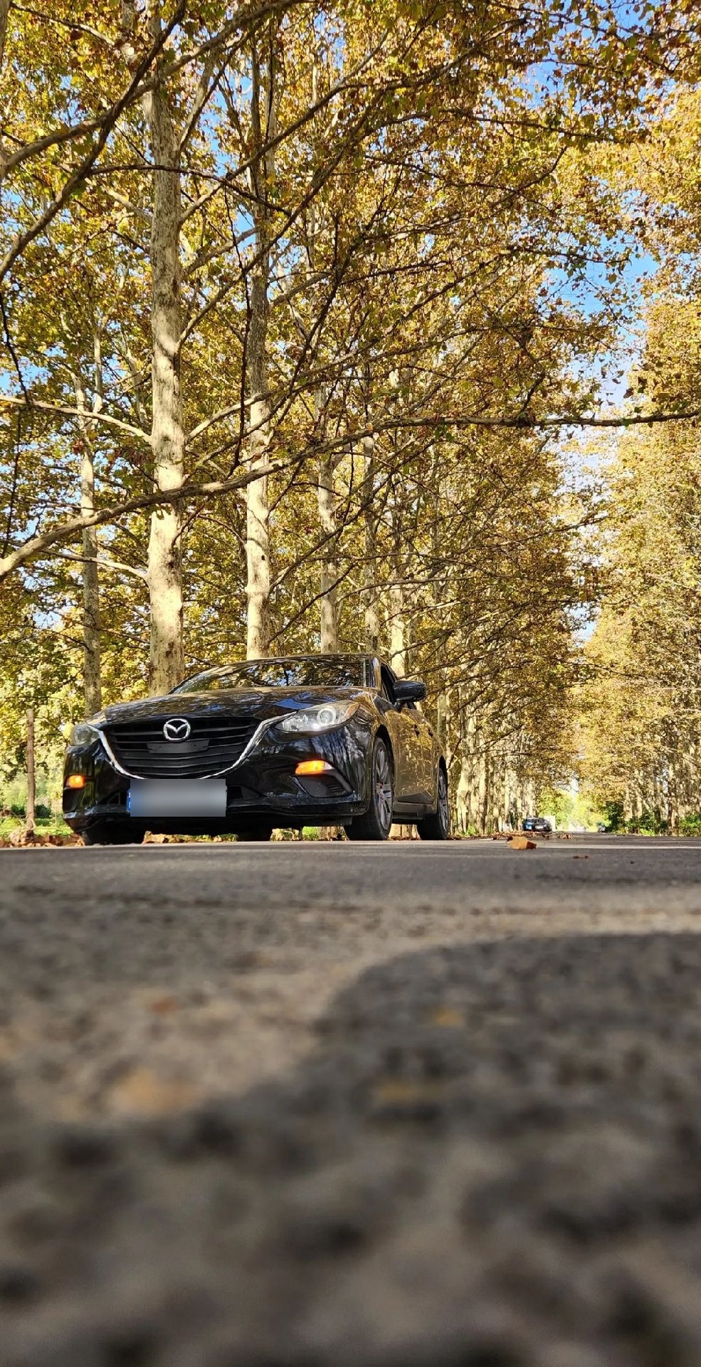 Mazda Mazda3 2014 — photo 2