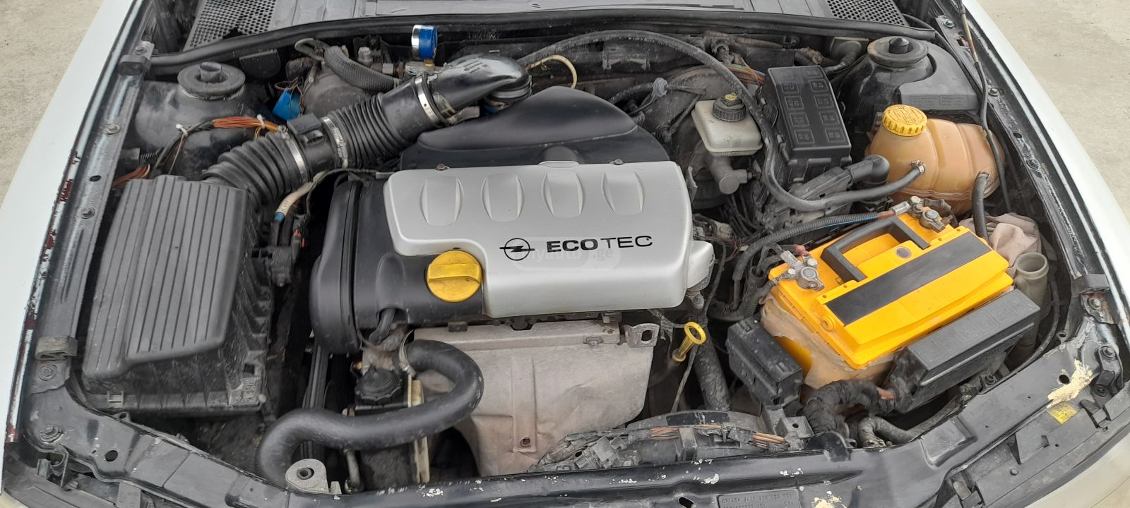 Opel Vectra 1999 — photo 2