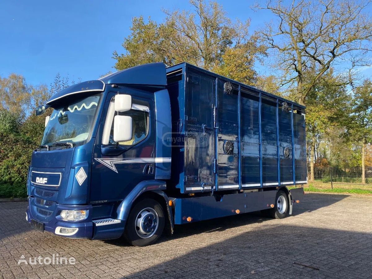 Daf 400