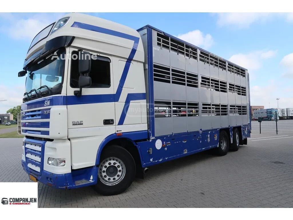 Daf 400
