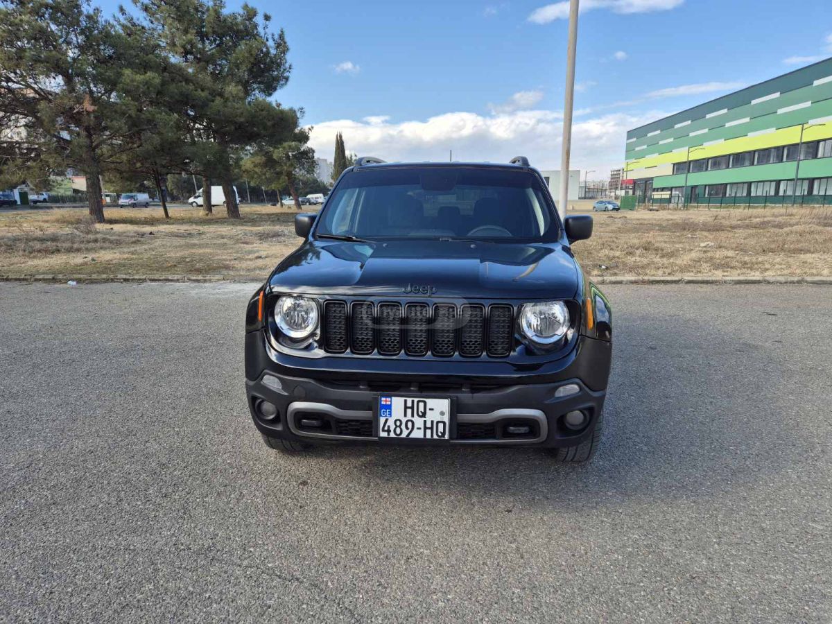 Jeep Renegade 2019 — photo 2