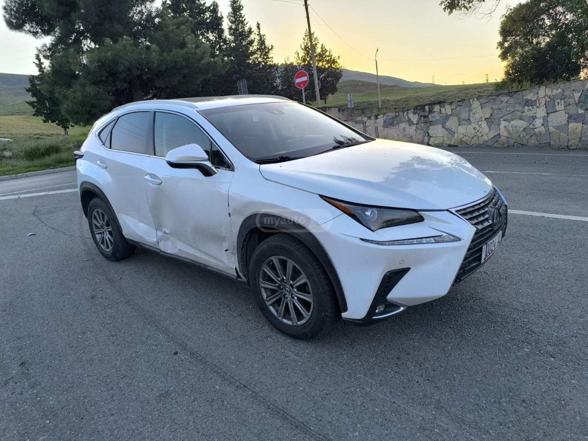 Lexus NX 300 2018 — photo 2
