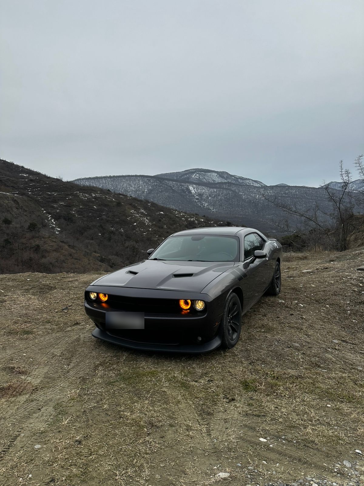 Dodge Challenger 2016 — photo 2