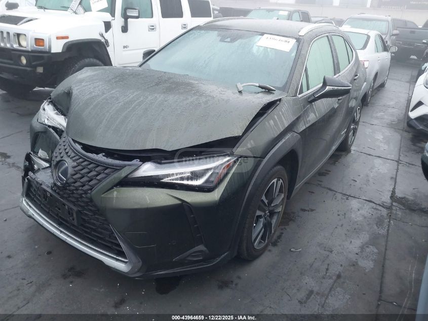 Lexus UX 250 h 2021 — photo 2