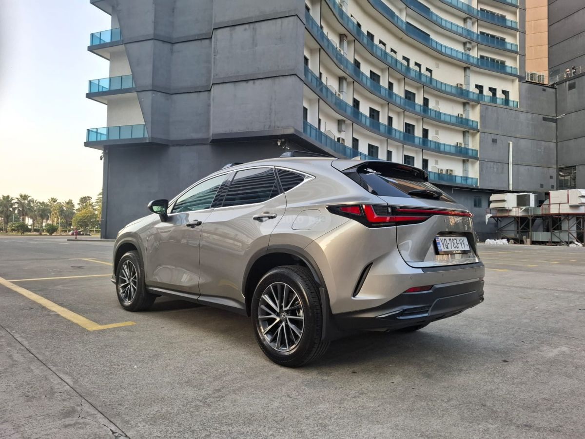 Lexus NX 250 2025 — photo 2