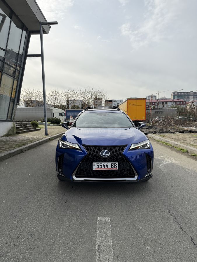 Lexus UX 250 h 2021 — photo 2