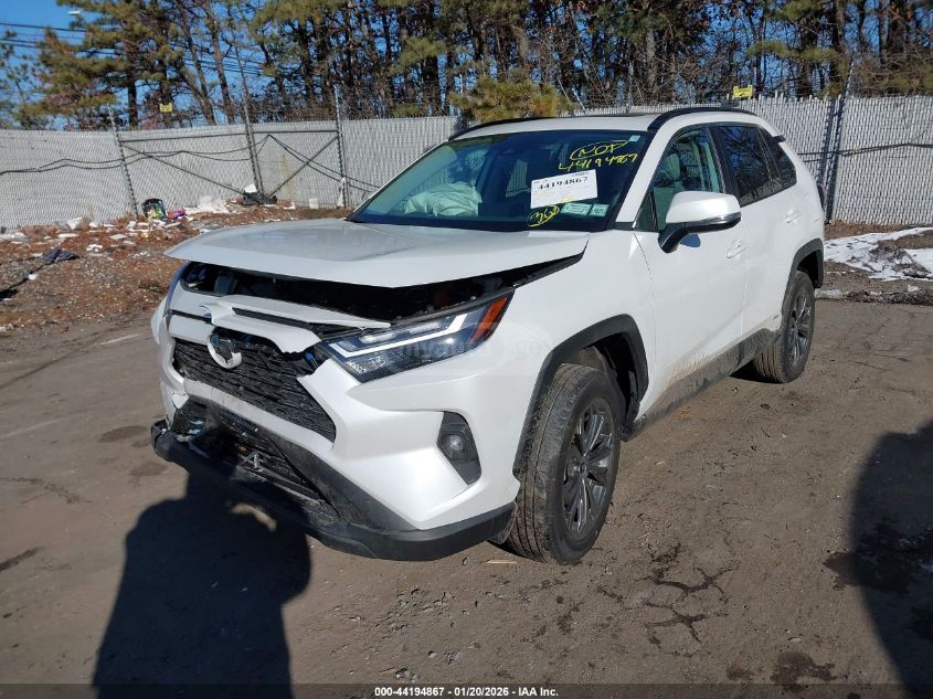 Toyota RAV4 2023 — photo 2