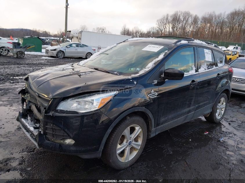 Ford Escape 2016 — photo 2