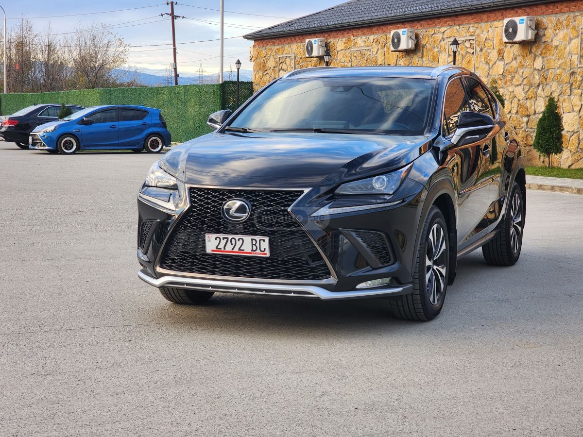 Lexus NX 300 2019 — photo 2