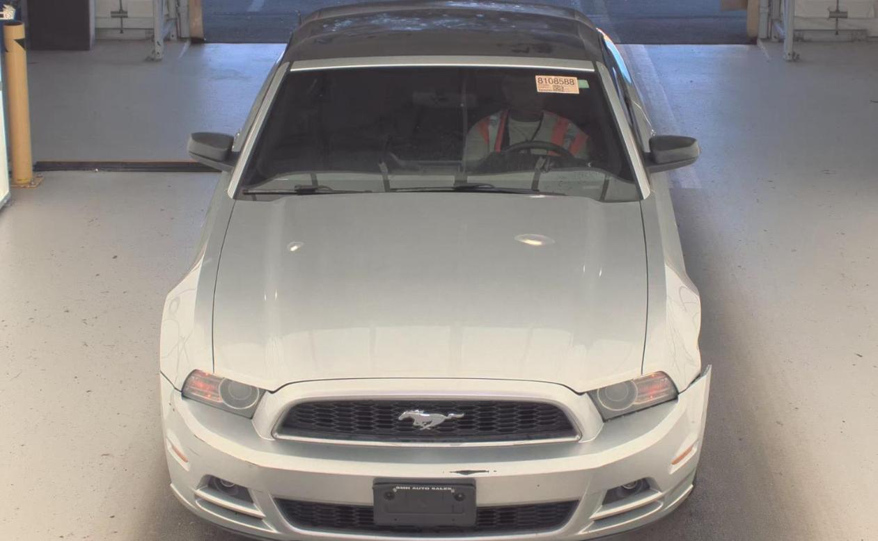 Ford Mustang 2014 — photo 2