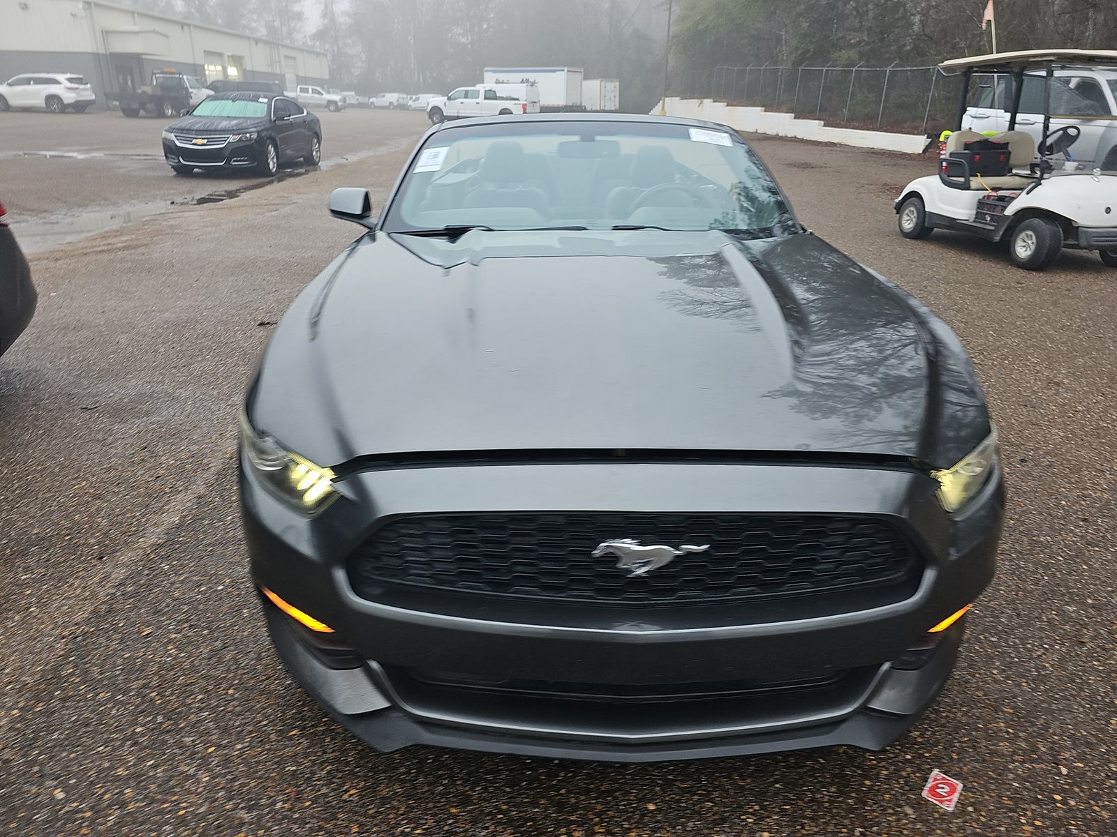 Ford Mustang 2016 — photo 2