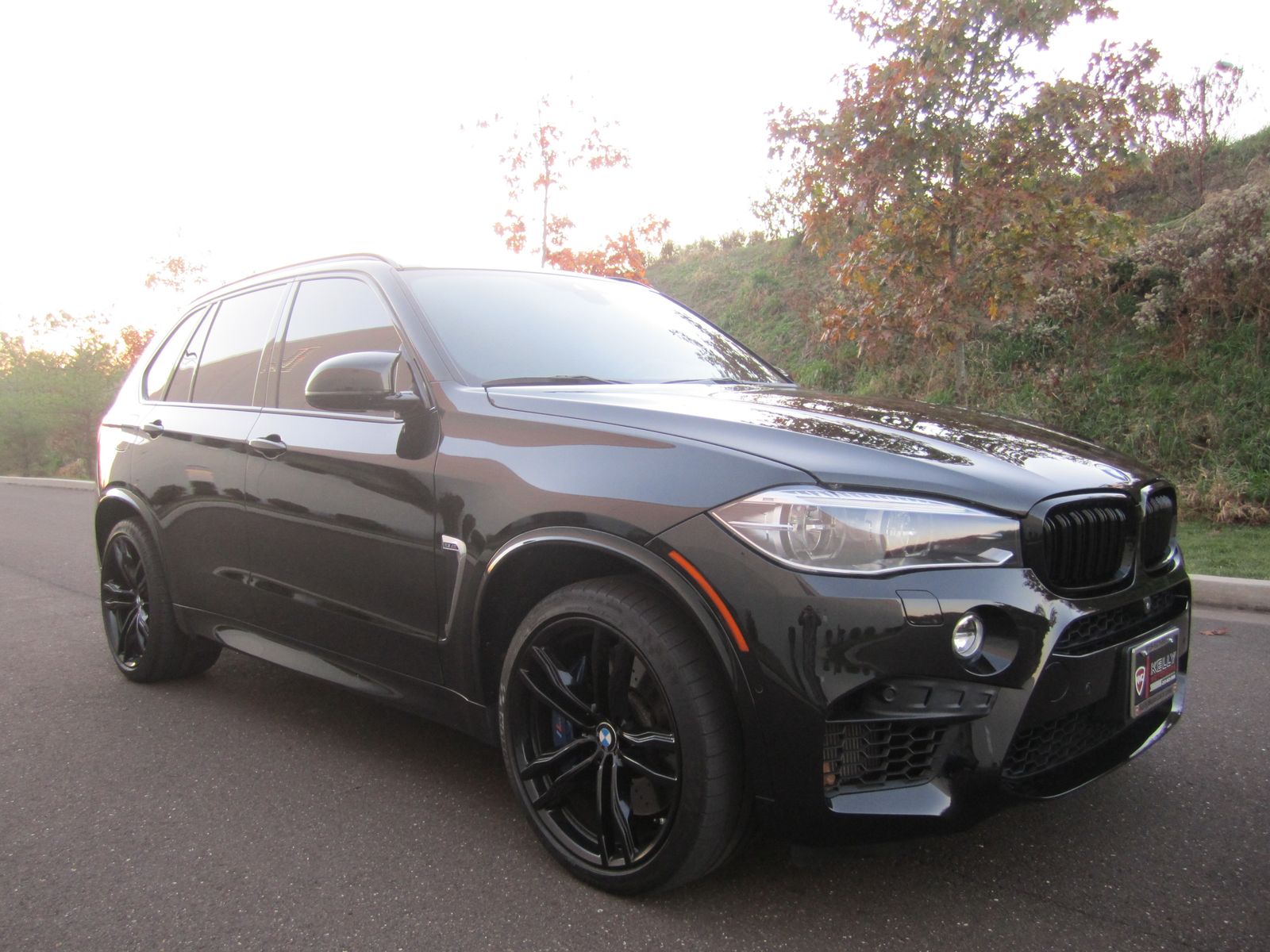 BMW X5 M 2018 — photo 2