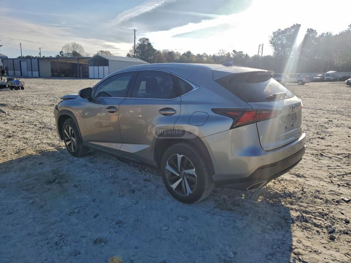 Lexus NX 300 2020 — photo 2