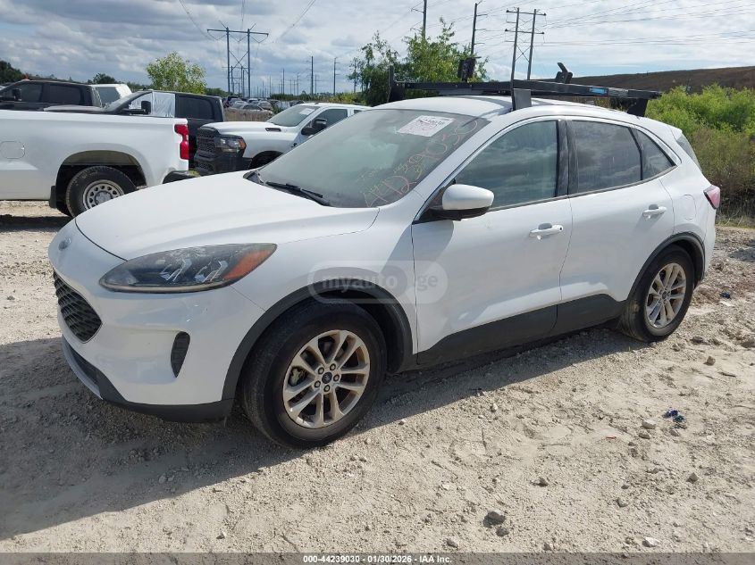 Ford Escape 2020 — photo 2