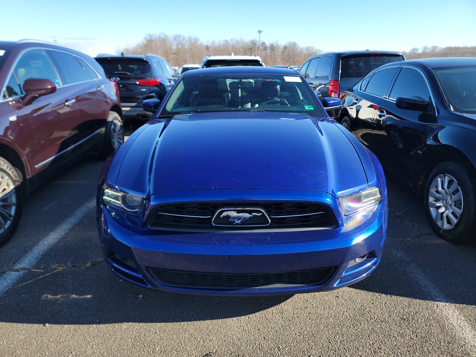 Ford Mustang 2014 — photo 2