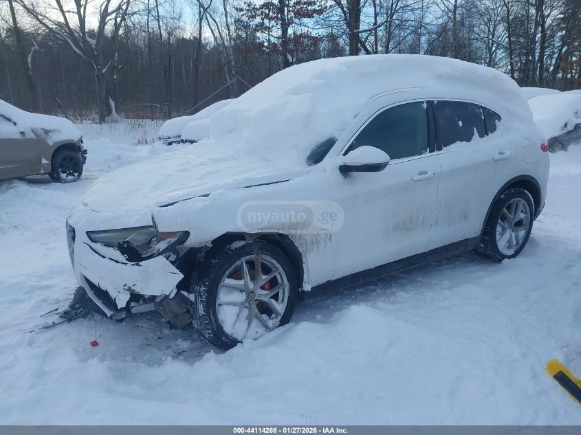 Alfa Romeo Stelvio 2019 — photo 2