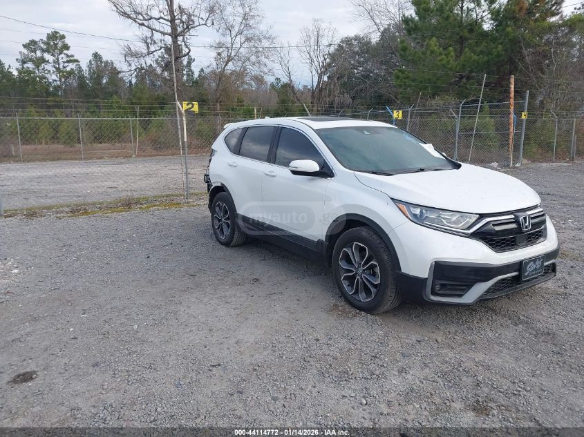 Honda CR-V 2021 — photo 2