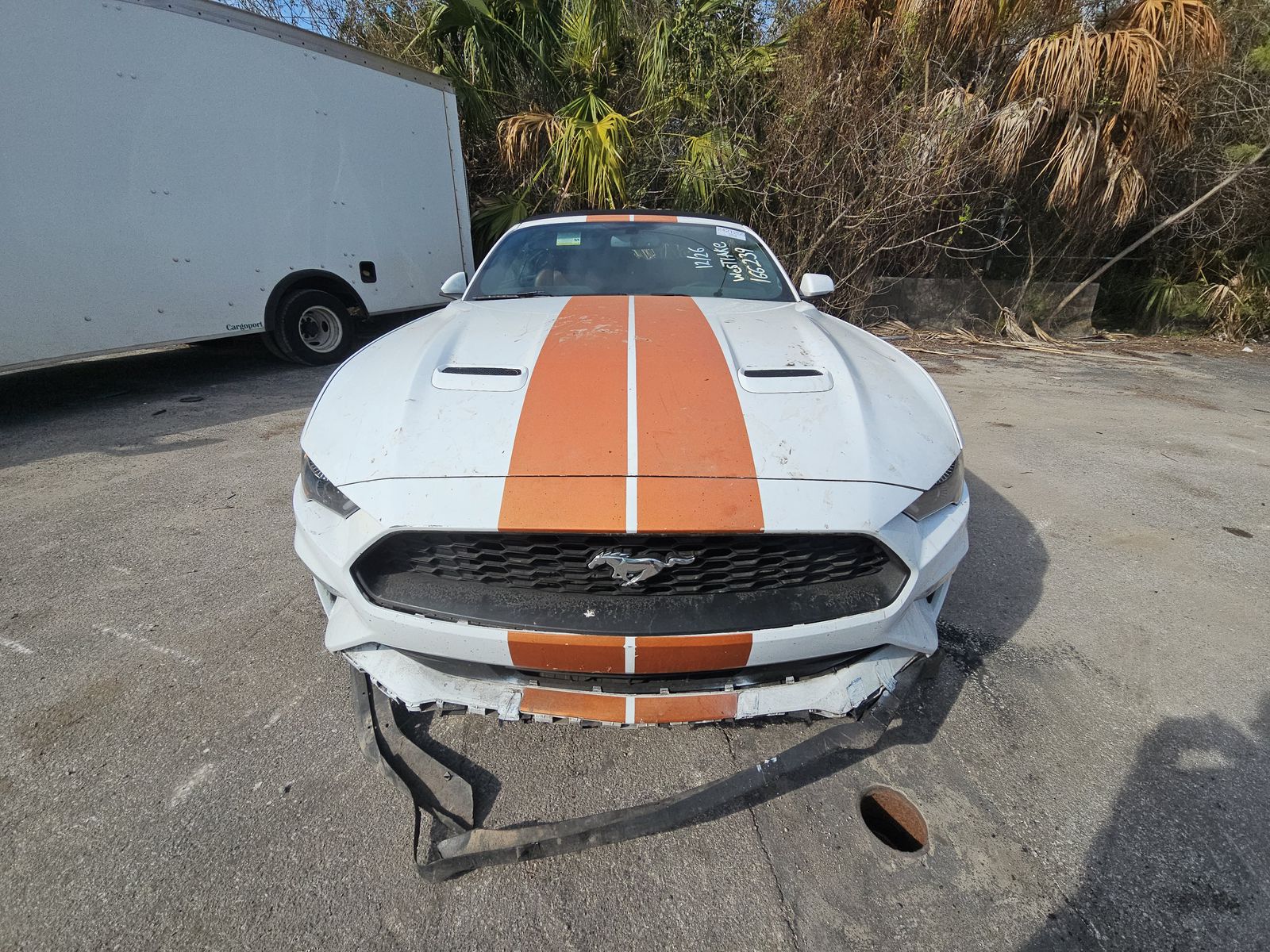 Ford Mustang 2018 — photo 2