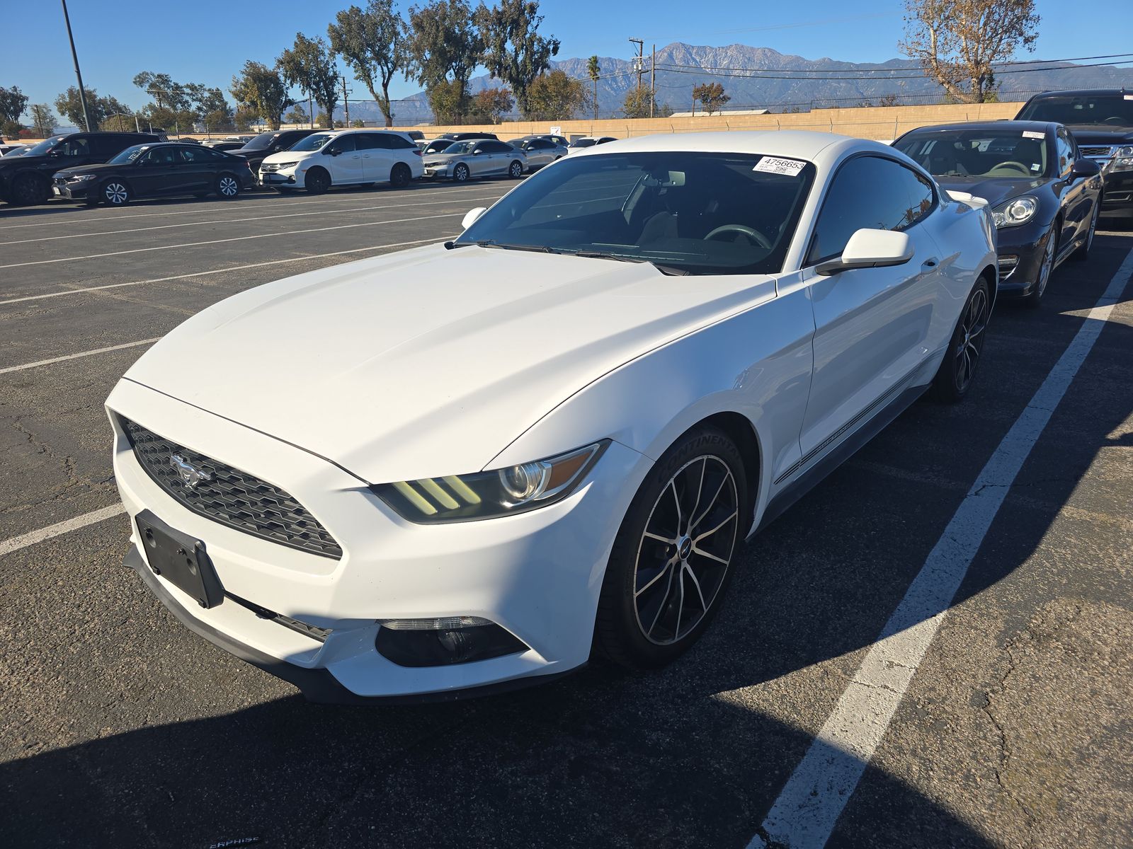 Ford Mustang