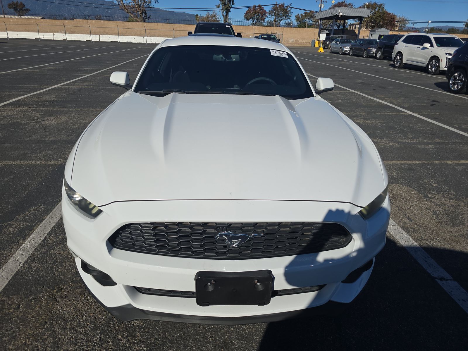 Ford Mustang 2015 — photo 2